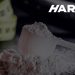 Drink Harlo Logo